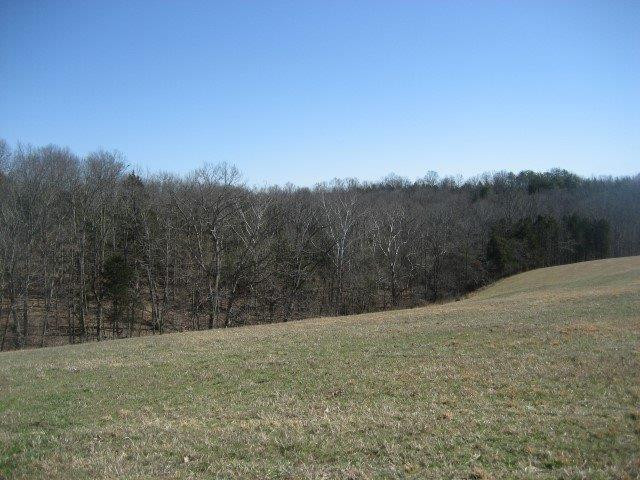 7890 Timber Creek Road Lawrenceburg, KY 40342 - Photo 18 of 23 Photo 18