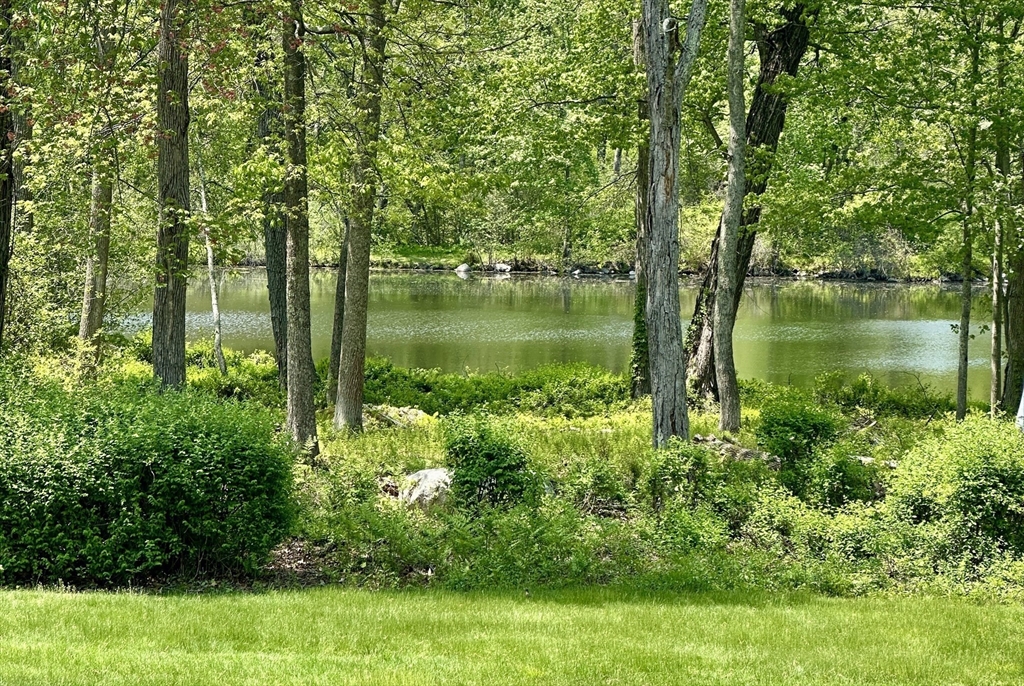 18 Juniper Lane Framingham, MA 01701 - Photo 10 of 42