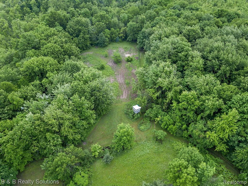 0 South Lake Pleasant Road Metamora, MI 48455 - Photo 27 of 32
