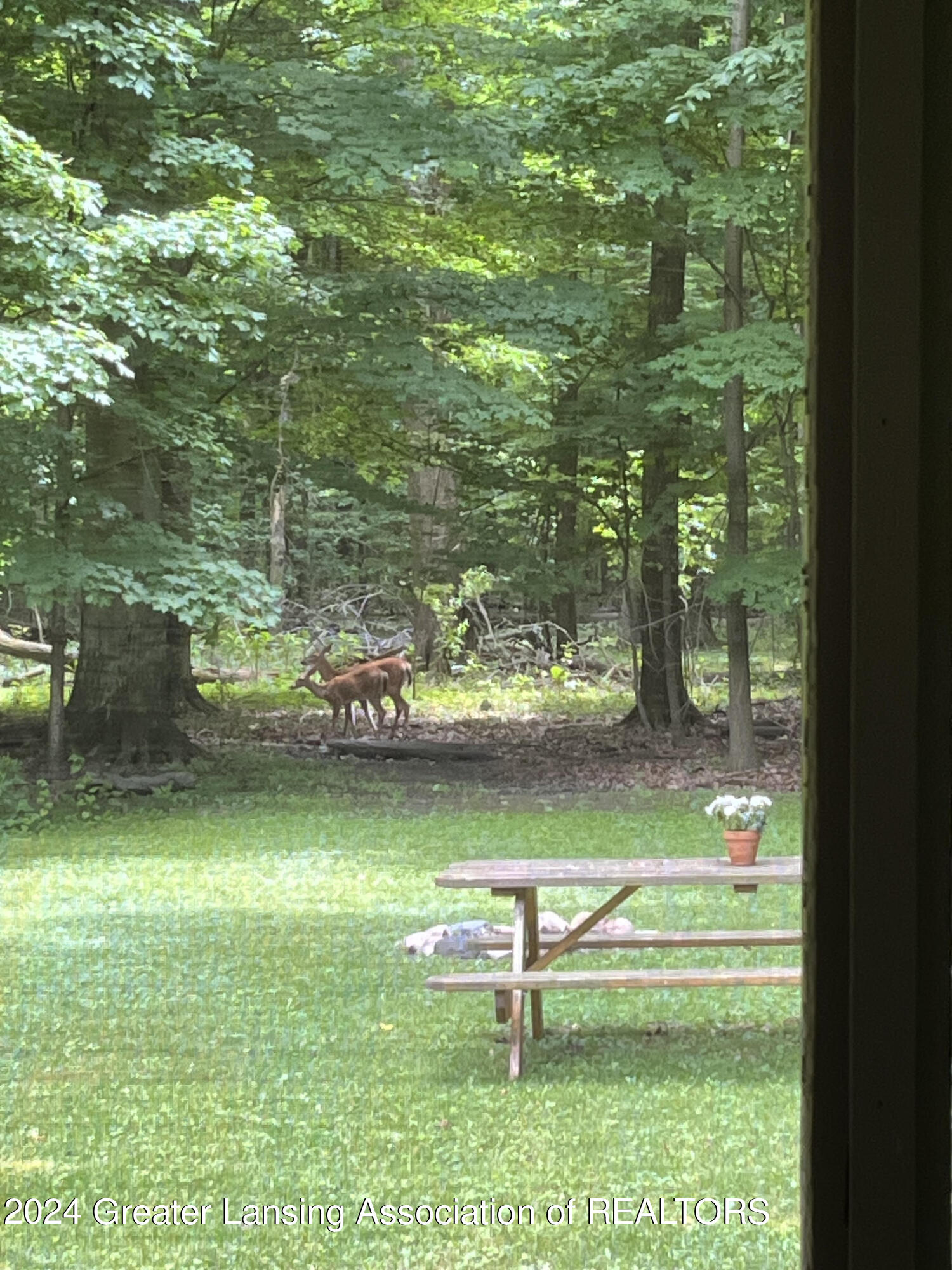 1601 Willoughby Road Mason, MI 48854 - Photo 40 of 40 yard