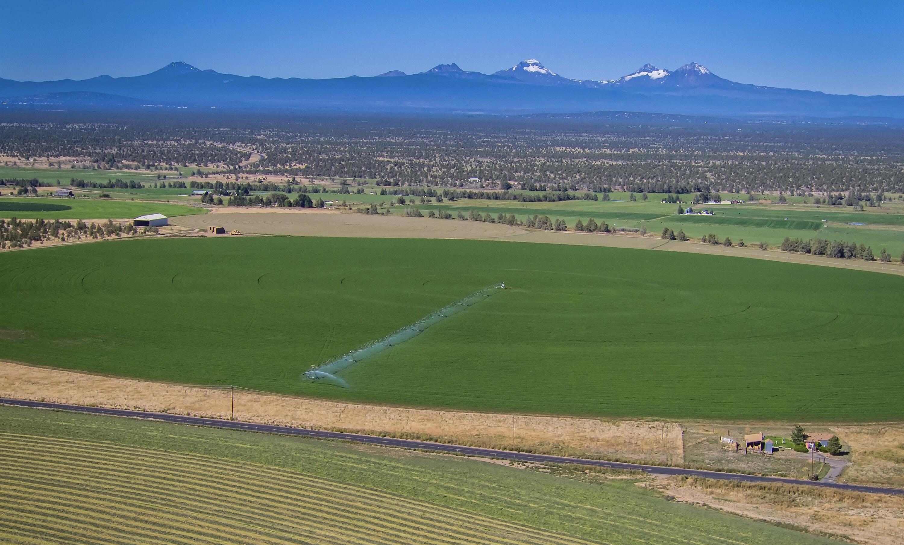 Southwest Shumway Road, Unit TL 105 Powell Butte, OR 97753 - Photo 1 of 14 1 - 01 Shumway Land TL 105