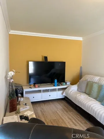 a close up of a plant