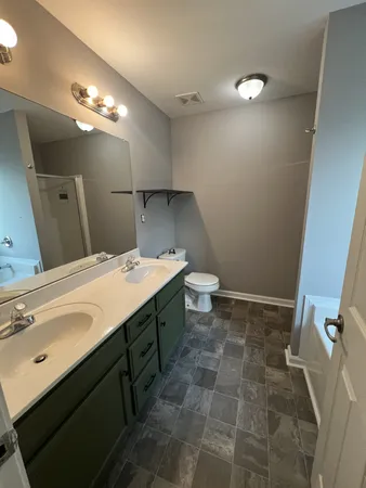 a bathroom with a sink a toilet and a mirror