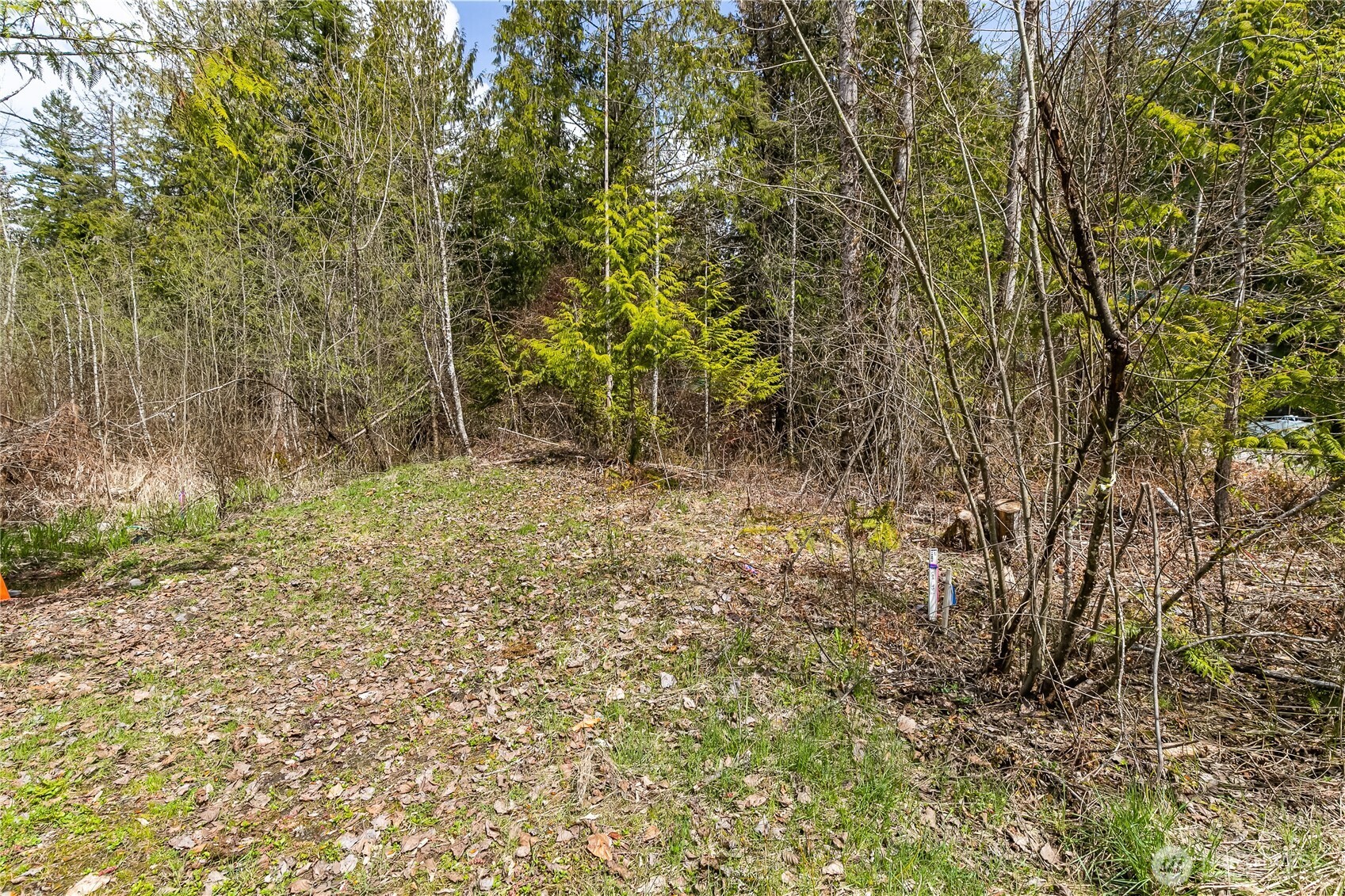 17045 Iceberg Road Glacier, WA 98244 - Photo 5 of 20 a view of outdoor space and a yard
