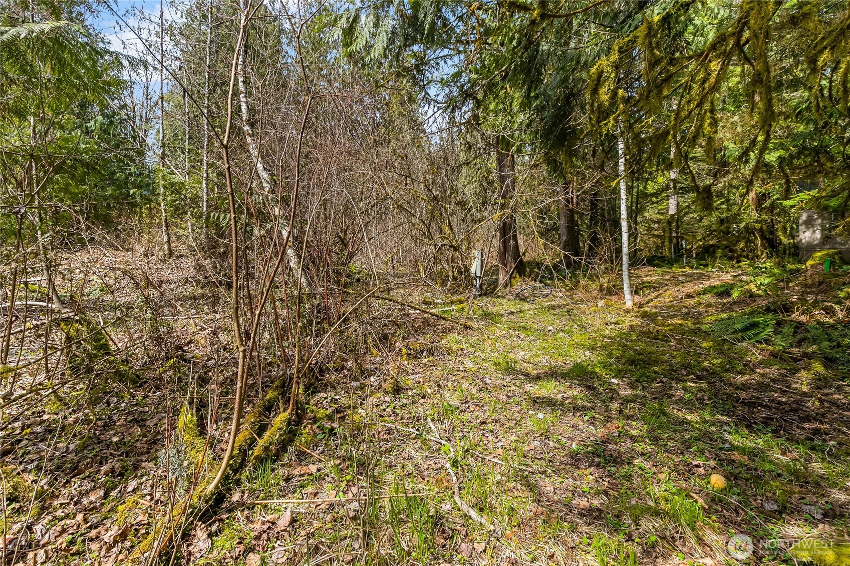 17045 Iceberg Road Glacier, WA 98244 - Photo 7 of 20 a view of outdoor space and a yard