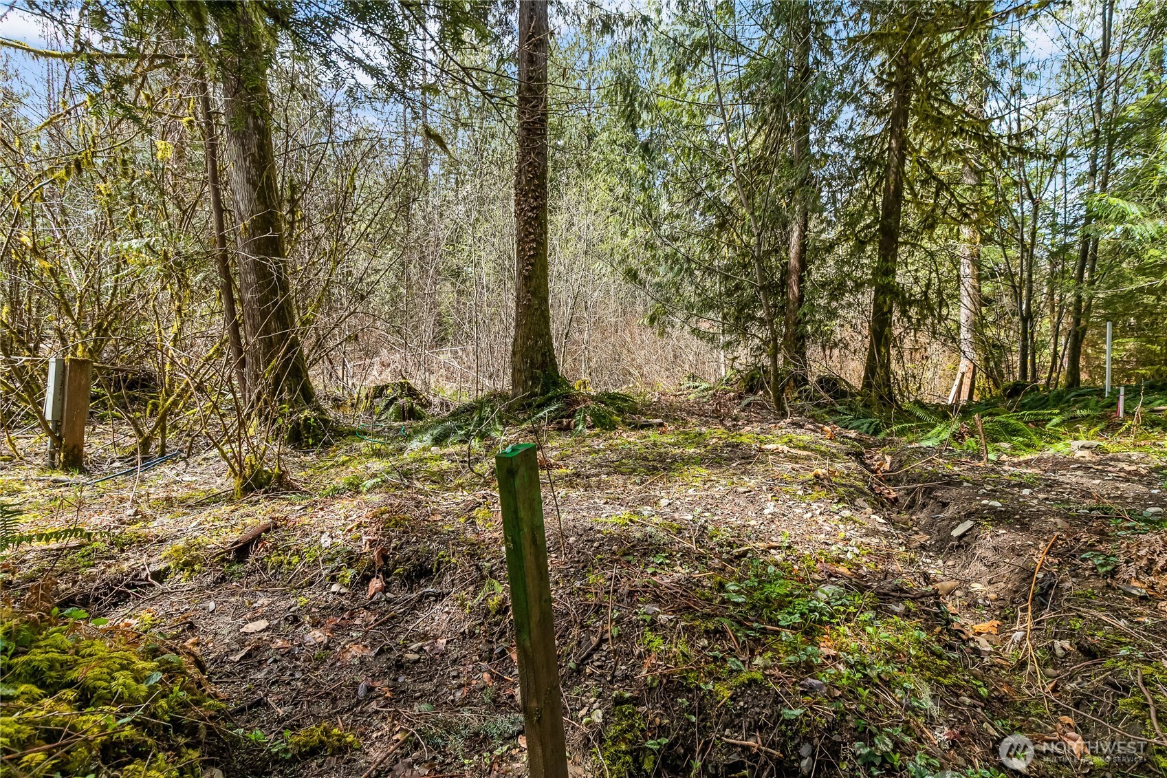 17045 Iceberg Road Glacier, WA 98244 - Photo 10 of 20 a view of a backyard
