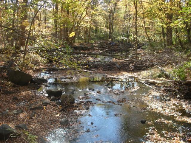 Turn Of River Road Stamford, CT 06905 - Photo 1 of 1 a view of a yard