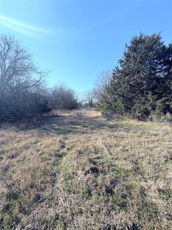 105 East Riley Wortham, TX 76693 - Photo 5 of 11