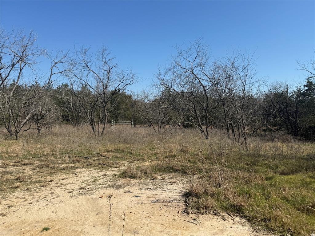 105 East Riley Wortham, TX 76693 - Photo 6 of 11