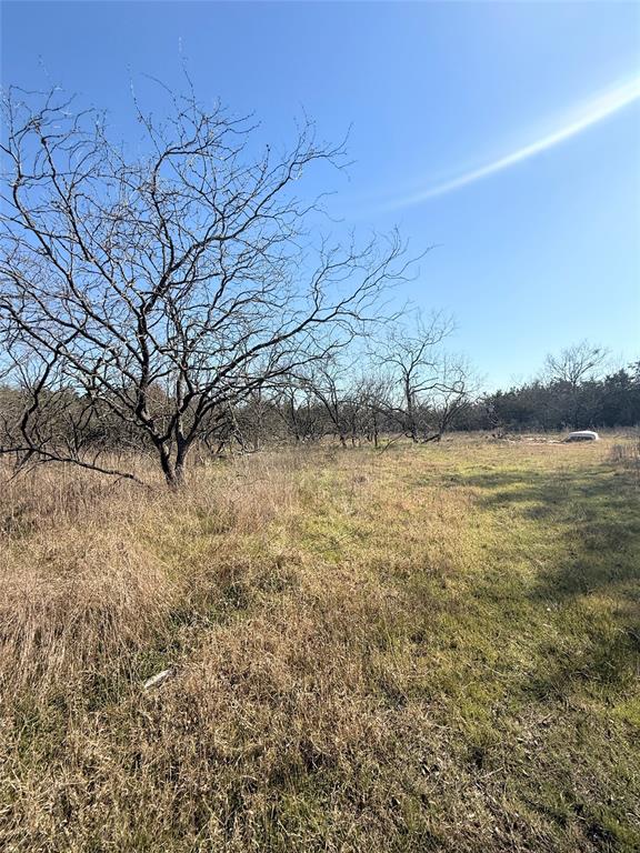 105 East Riley Wortham, TX 76693 - Photo 8 of 11