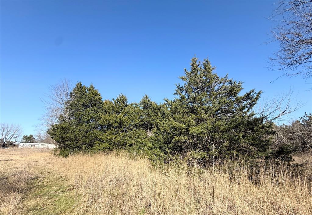 105 East Riley Wortham, TX 76693 - Photo 10 of 11