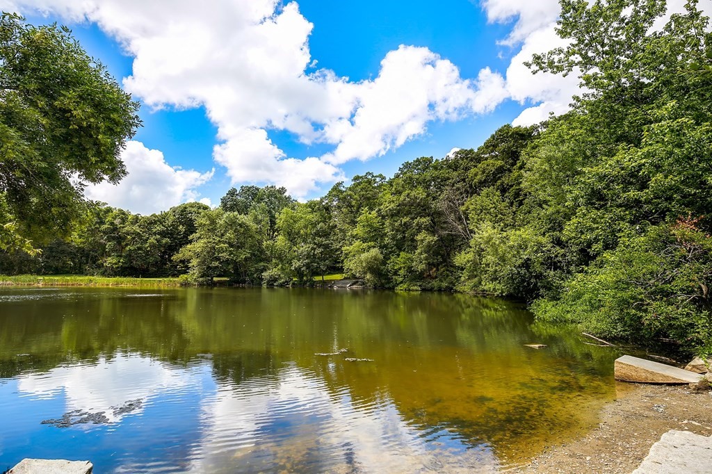 110 Spring Street Arlington, MA 02476 - Photo 41 of 42 Gallery Image 41