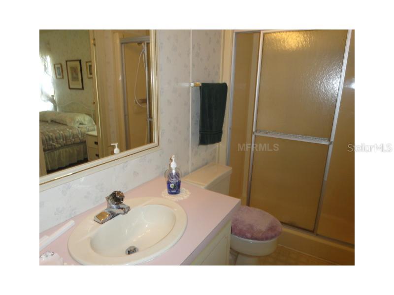 1114 Rue De Dore Tavares, FL 32778 - Photo 11 of 14 Master Bath