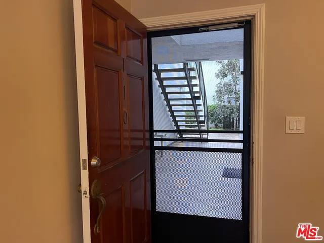 a view of a garden with plants