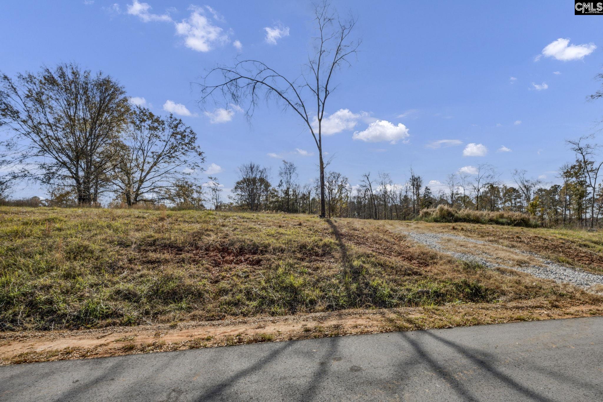 0 Bridge View Prosperity, SC 29127 - Photo 4 of 28