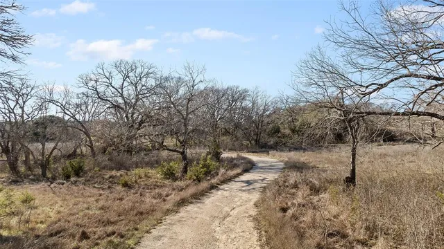 a view of a dry yard with trees