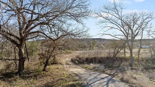 a backyard of a house with large trees and wooden fence