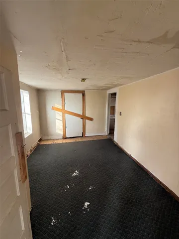 a view of a yard with plants and trees