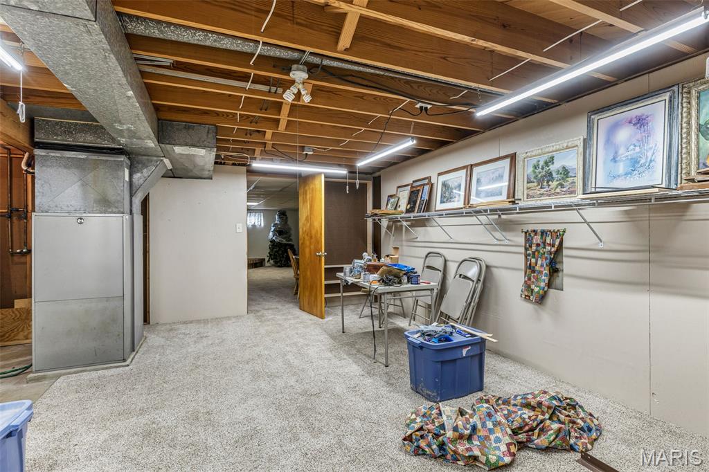 458 Cherry Drive Ste. Genevieve, MO 63670 - Photo 37 of 44