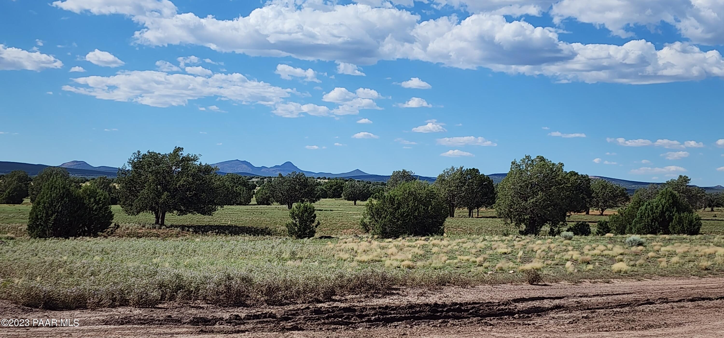 Lot 98 Off Ten Tanks Road Williams, AZ 86046 - Photo 3 of 11 20230829_151407
