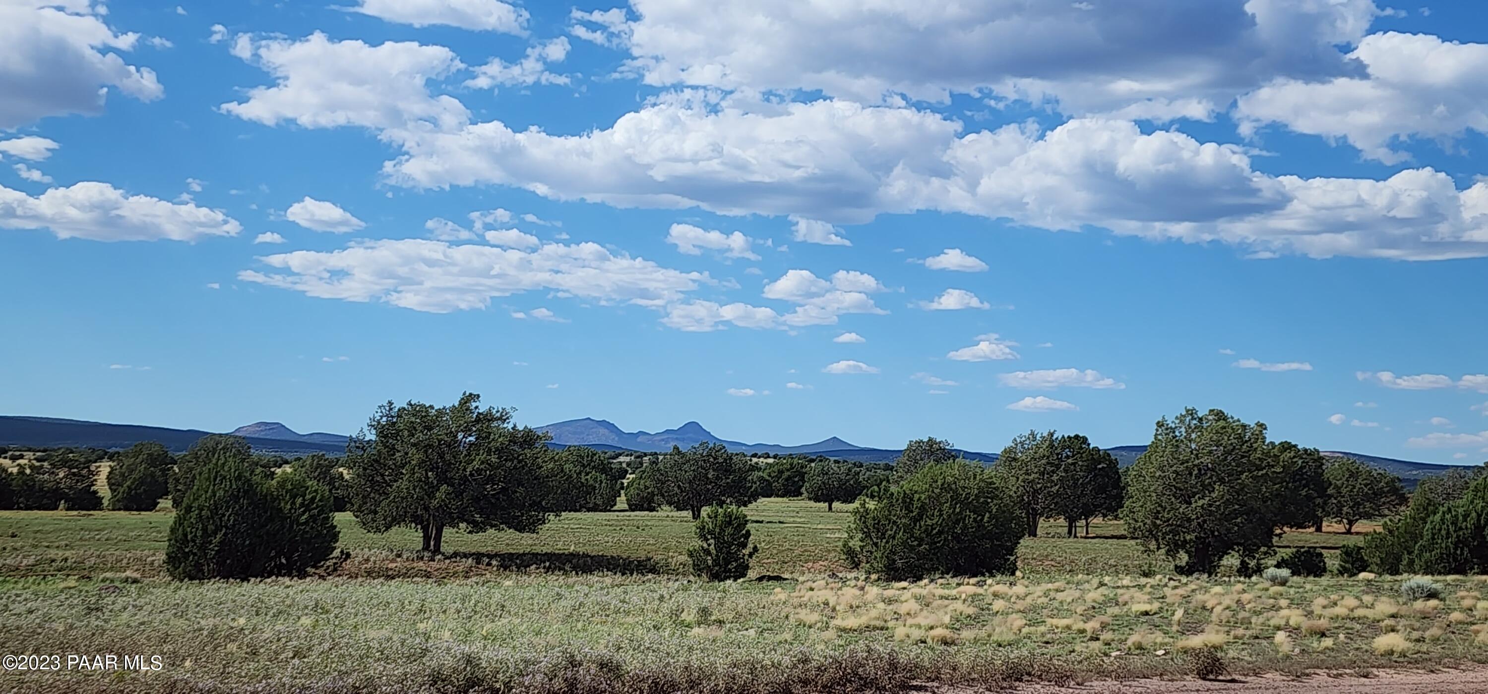 Lot 98 Off Ten Tanks Road Williams, AZ 86046 - Photo 4 of 11 20230829_151412