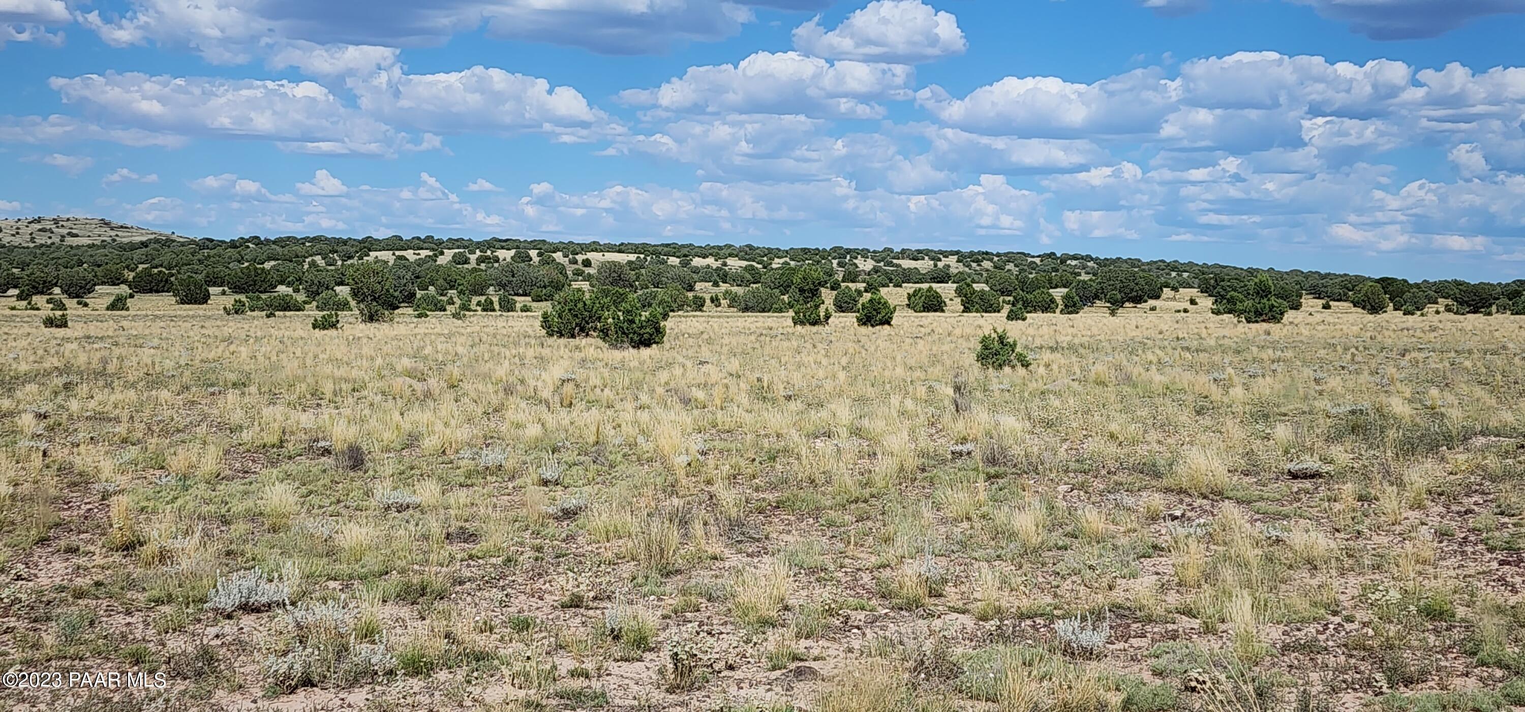 Lot 98 Off Ten Tanks Road Williams, AZ 86046 - Photo 7 of 11 20230829_151600