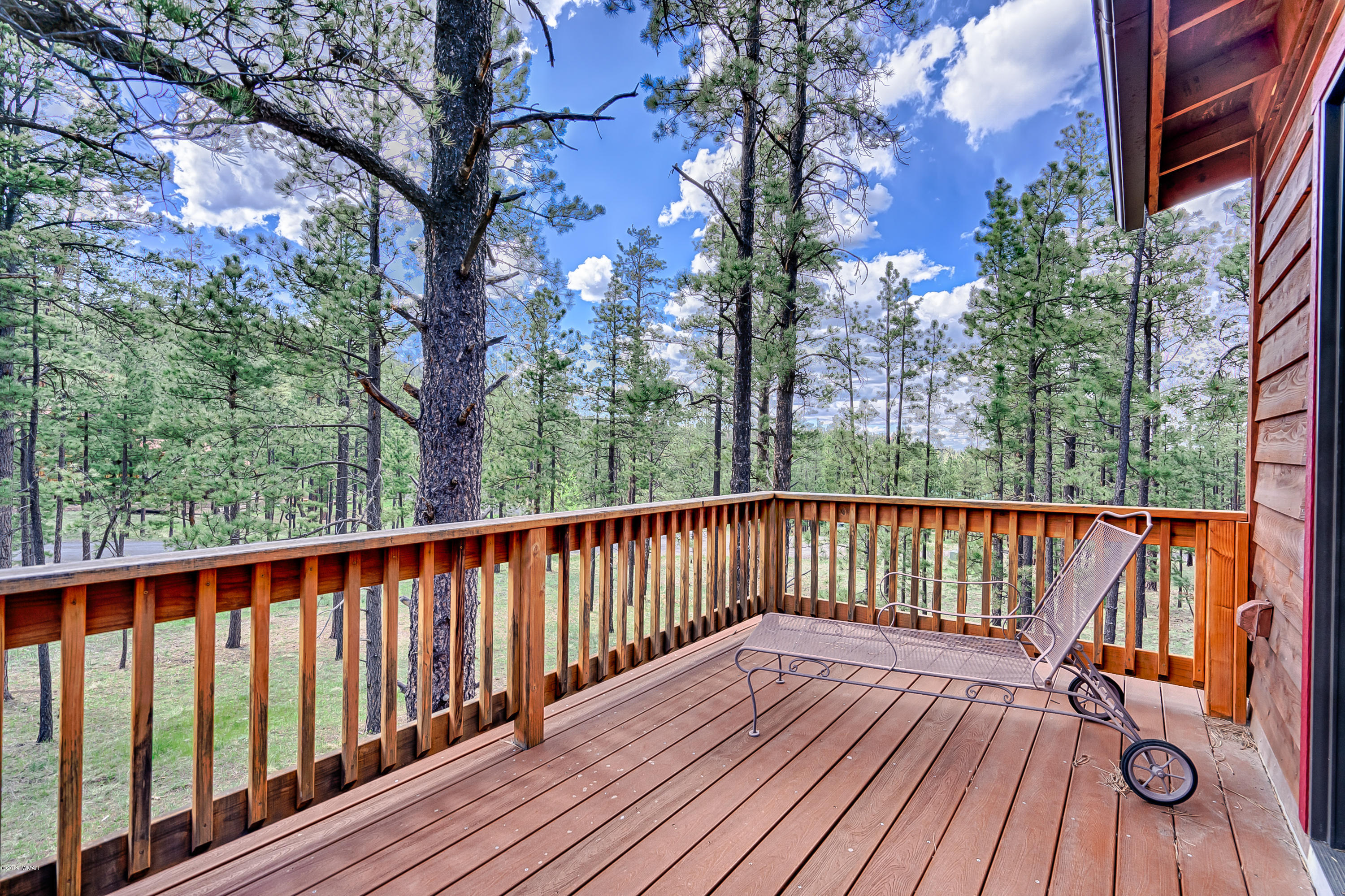 Lot 18 Greer View Estates Greer, AZ 85927 - Photo 15 of 48