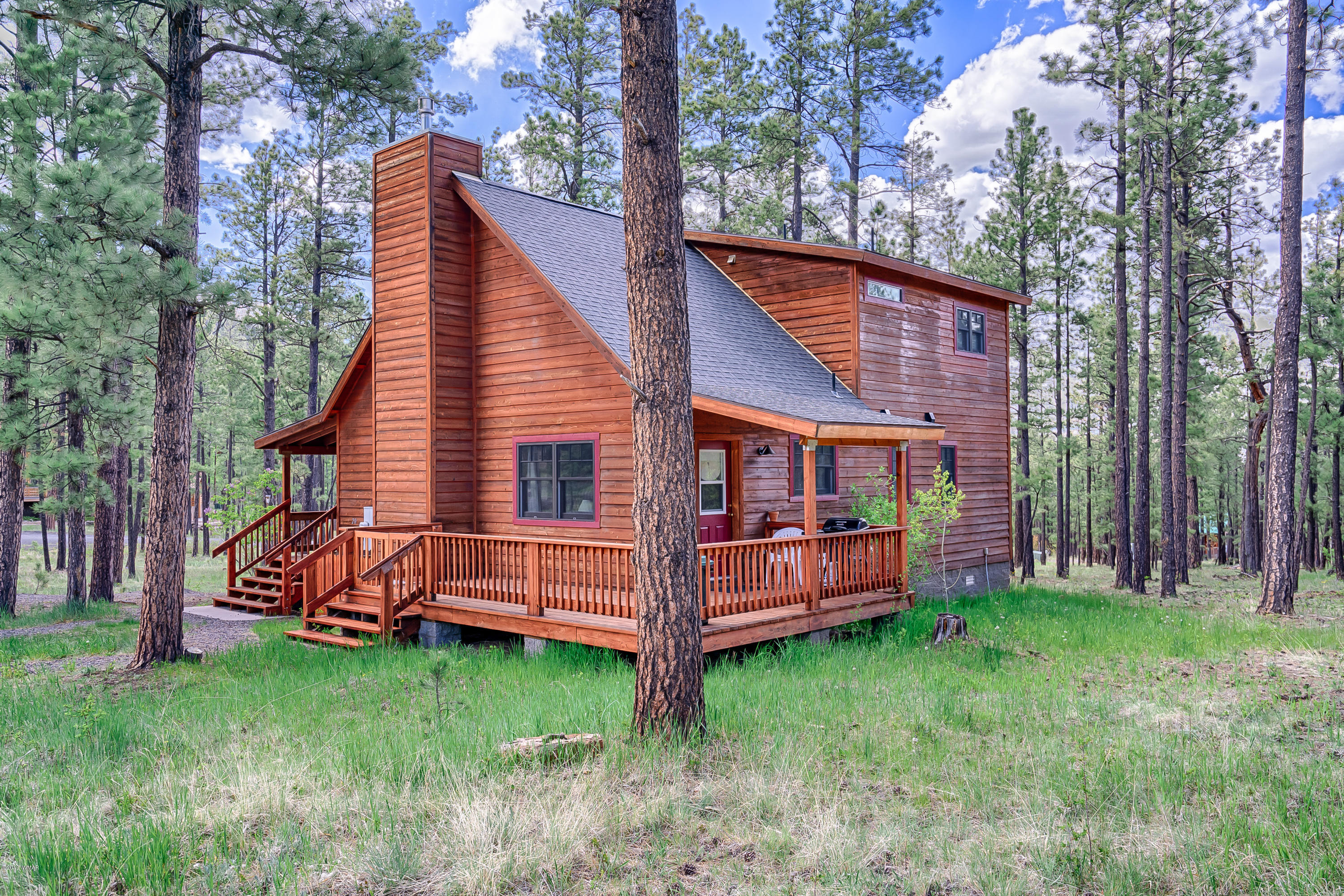 Lot 18 Greer View Estates Greer, AZ 85927 - Photo 17 of 48