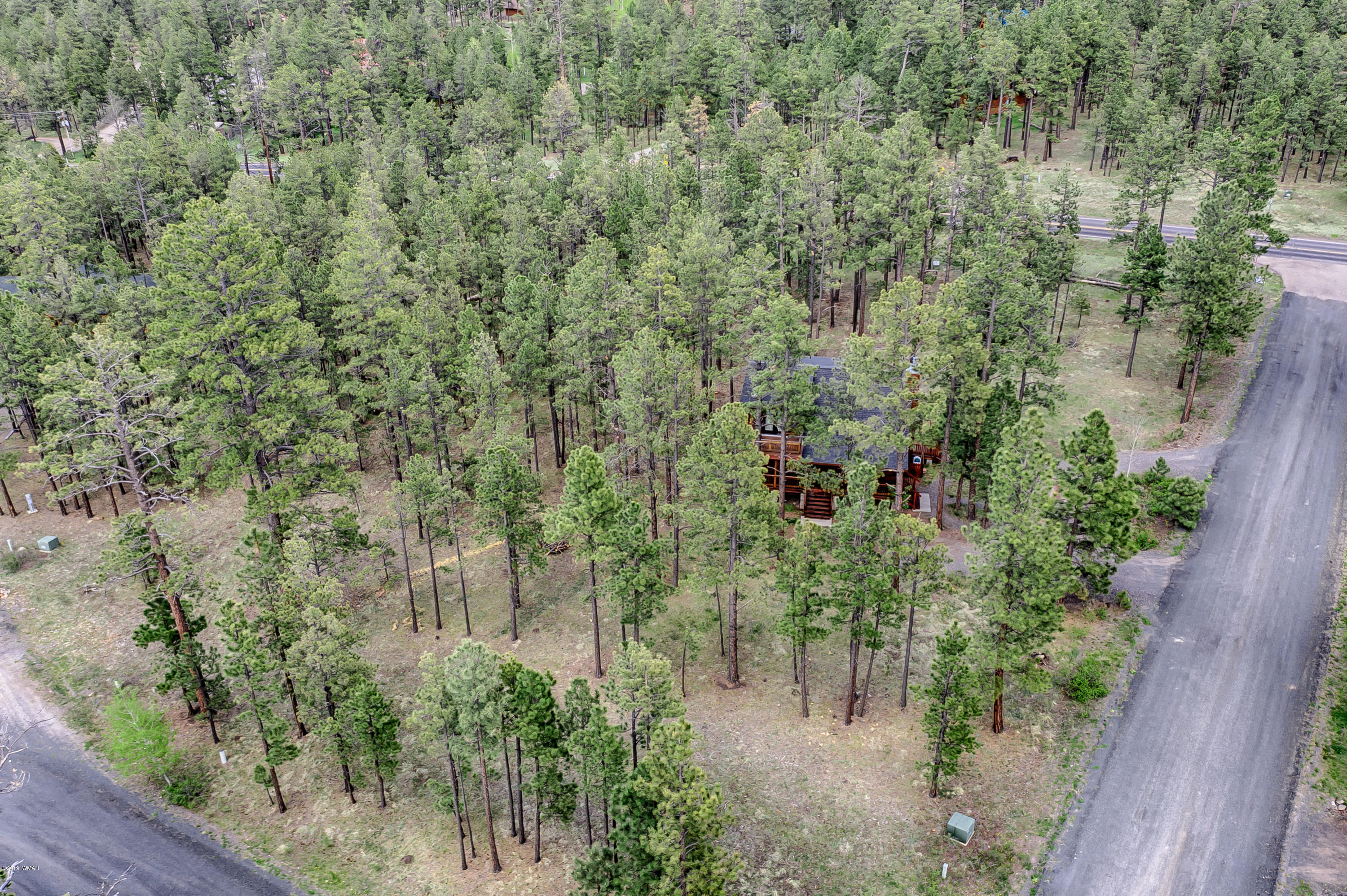 Lot 18 Greer View Estates Greer, AZ 85927 - Photo 18 of 48