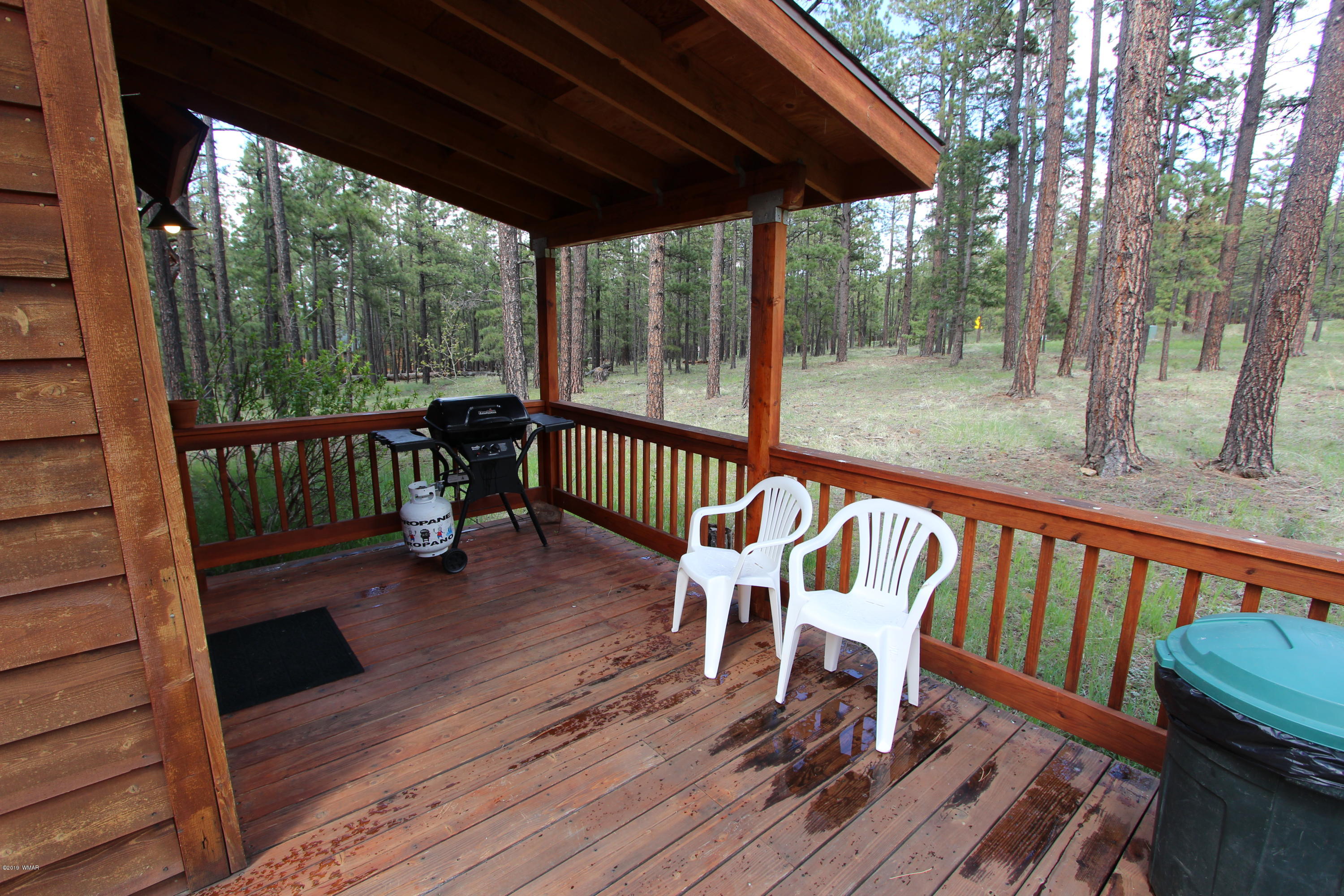 Lot 18 Greer View Estates Greer, AZ 85927 - Photo 26 of 48
