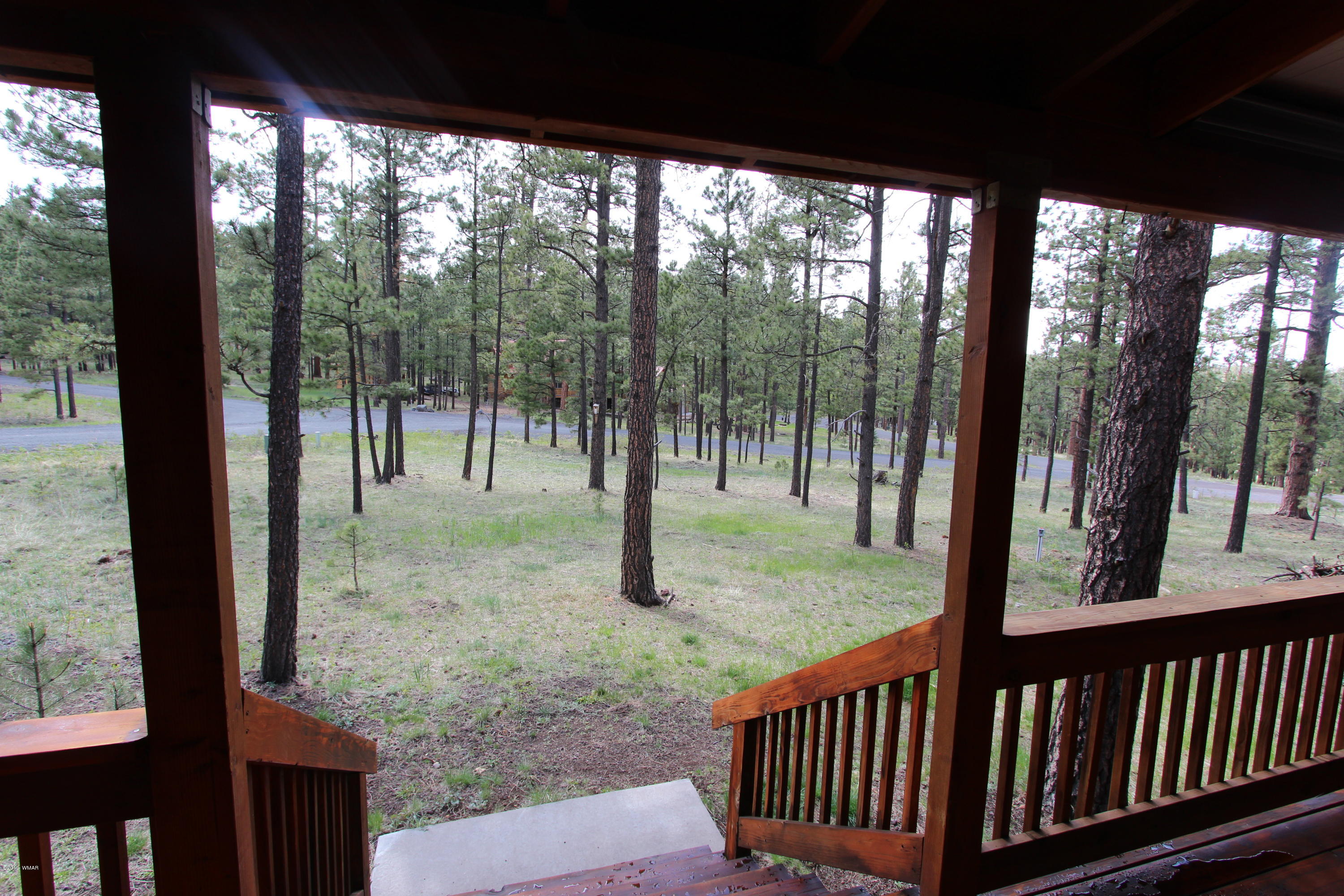 Lot 18 Greer View Estates Greer, AZ 85927 - Photo 28 of 48