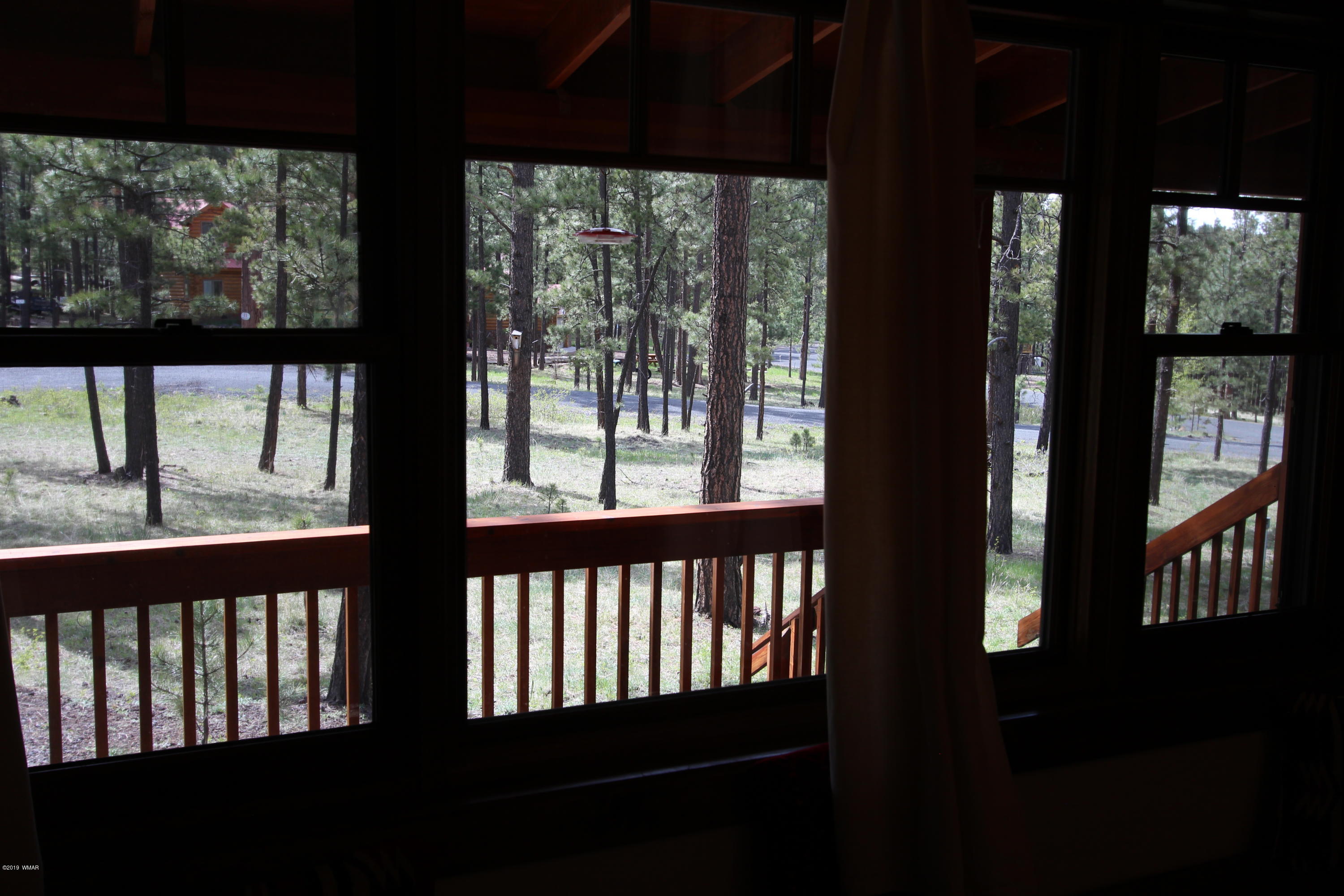 Lot 18 Greer View Estates Greer, AZ 85927 - Photo 34 of 48