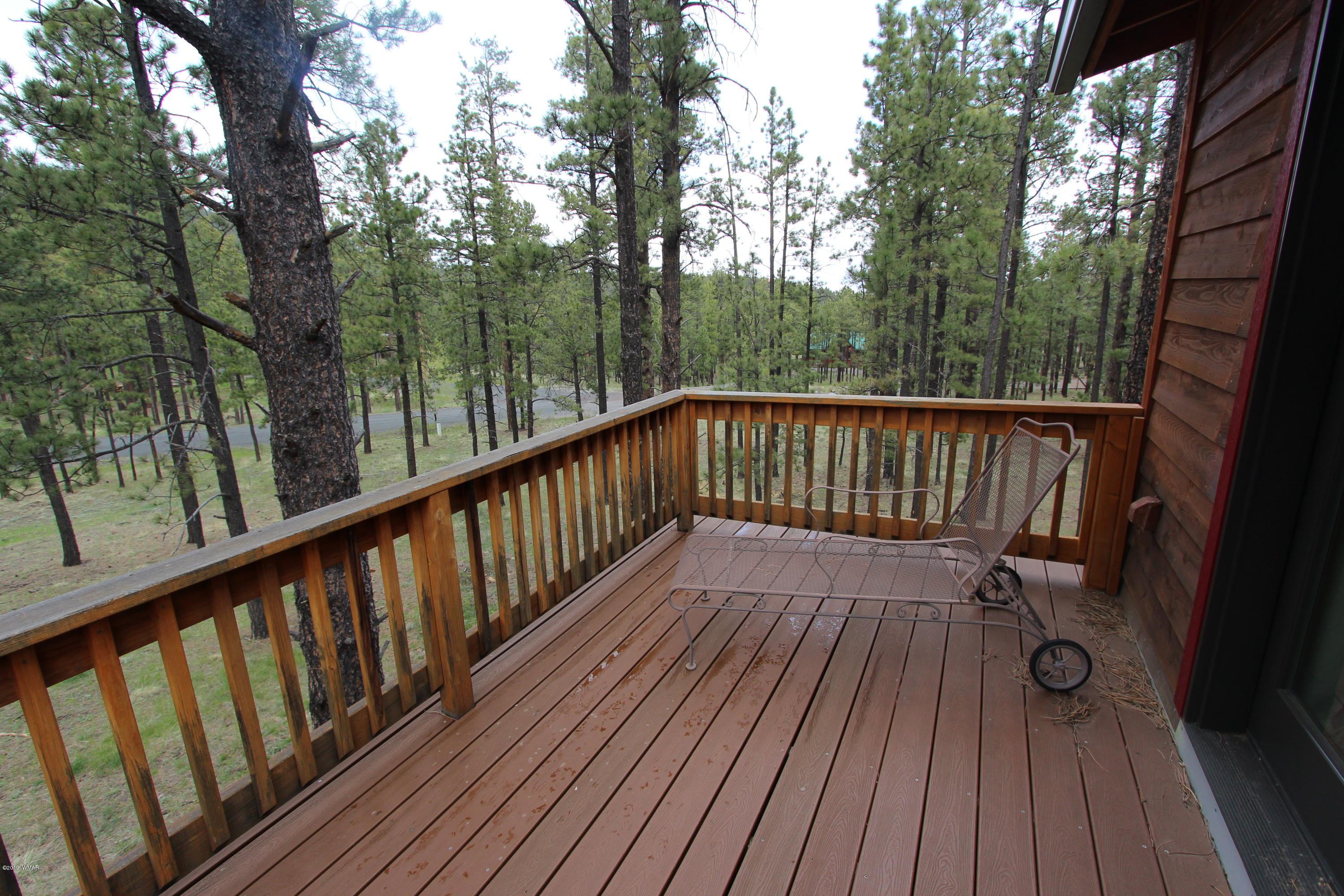 Lot 18 Greer View Estates Greer, AZ 85927 - Photo 44 of 48