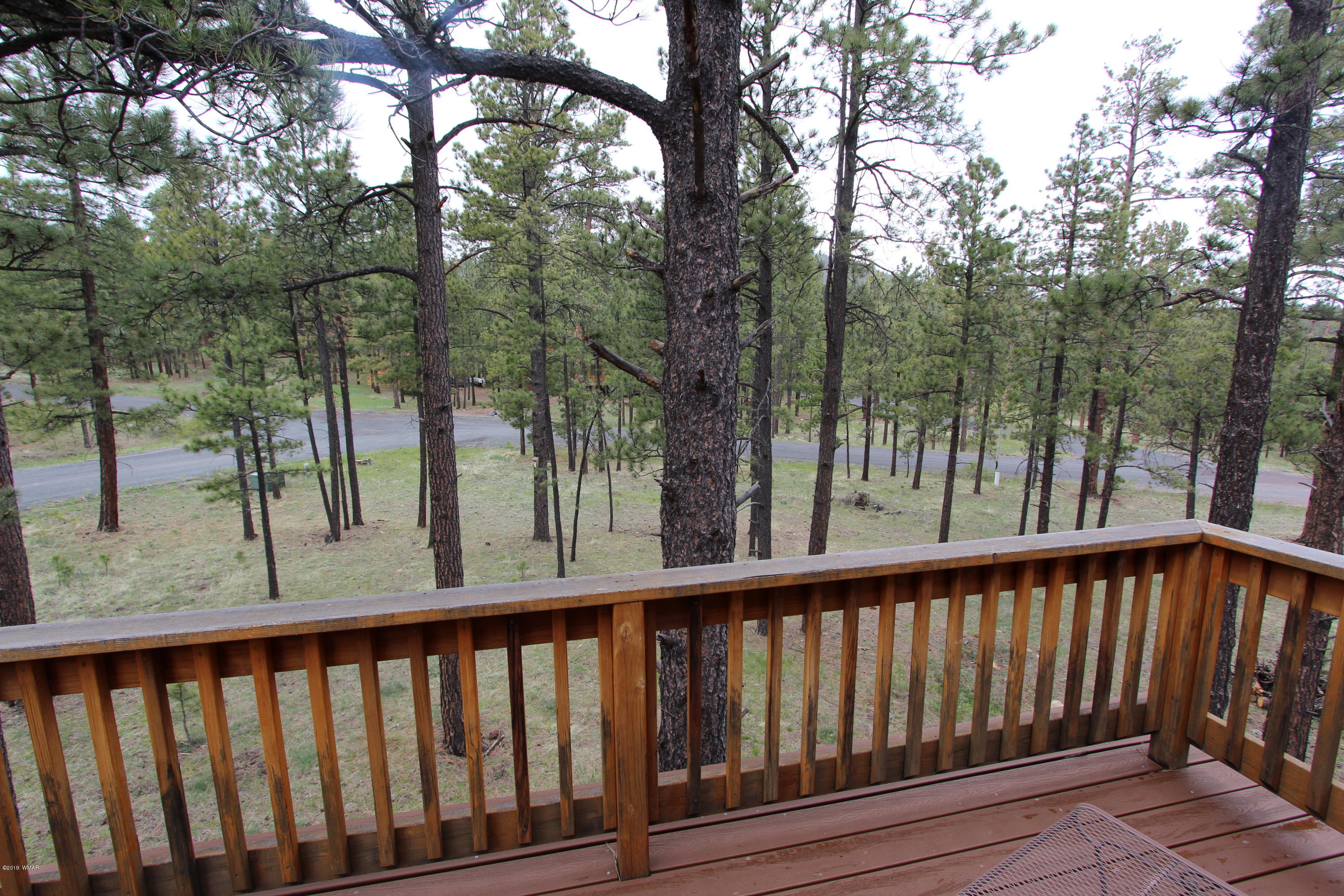 Lot 18 Greer View Estates Greer, AZ 85927 - Photo 45 of 48