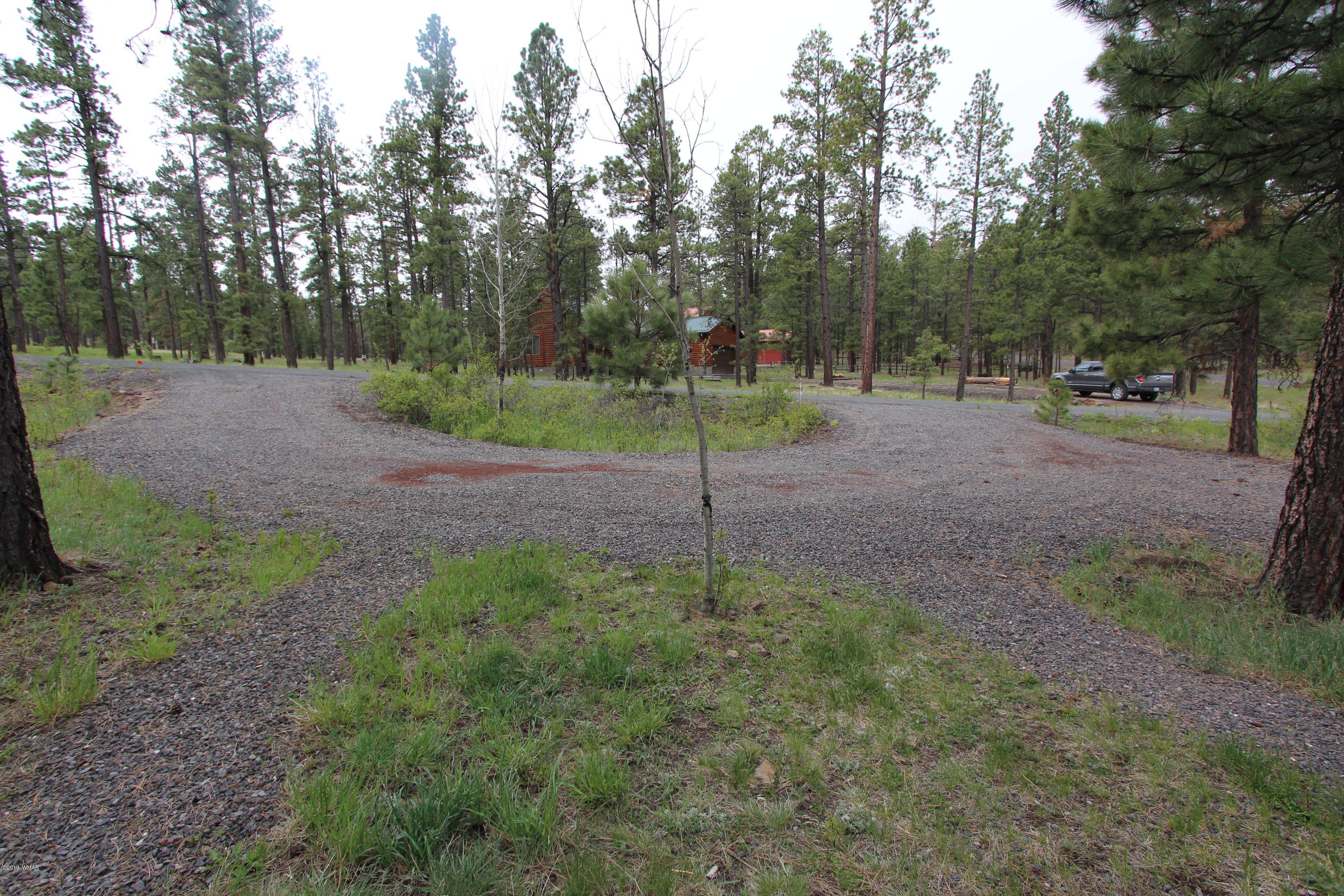 Lot 18 Greer View Estates Greer, AZ 85927 - Photo 48 of 48