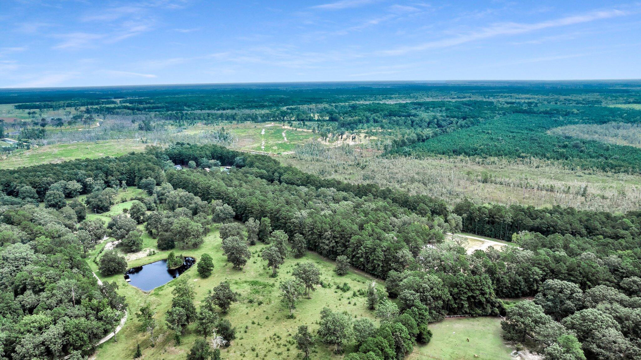 6215 Beaver Dam Road Adams Run, SC 29426 - Photo 11 of 18 CREM - 6215 Beaver Dm Rd-10