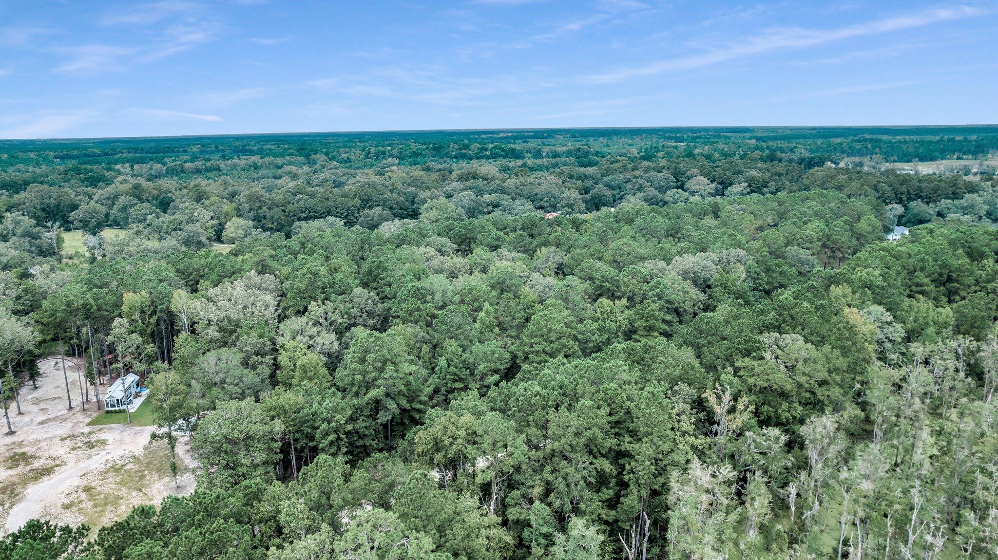 6215 Beaver Dam Road Adams Run, SC 29426 - Photo 14 of 18 CREM - 6215 Beaver Dm Rd-13