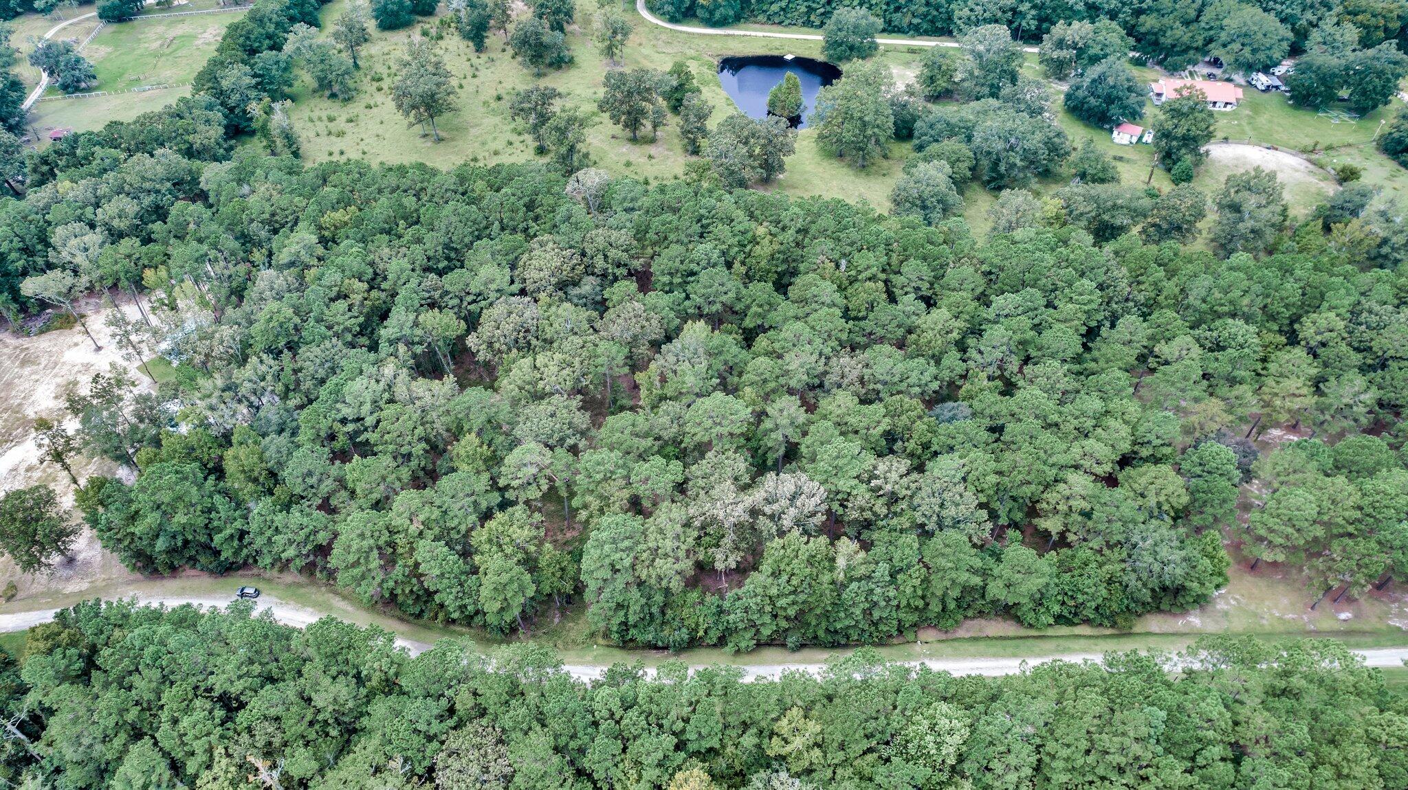 6215 Beaver Dam Road Adams Run, SC 29426 - Photo 15 of 18 CREM - 6215 Beaver Dm Rd-14