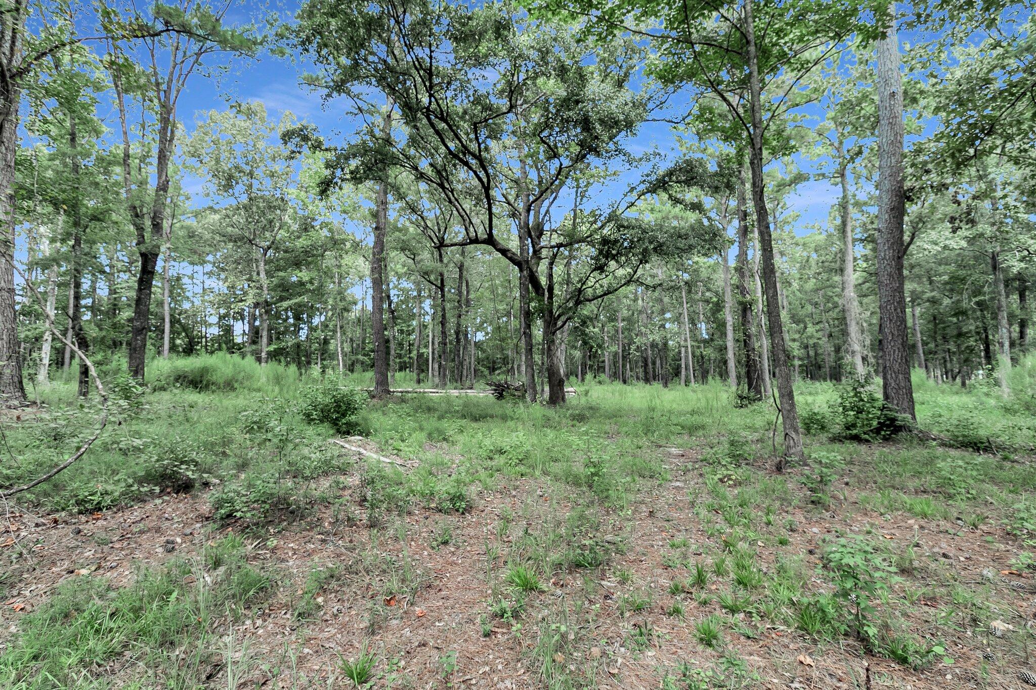 6215 Beaver Dam Road Adams Run, SC 29426 - Photo 16 of 18 CREM - 6215 Beaver Dm Rd-16