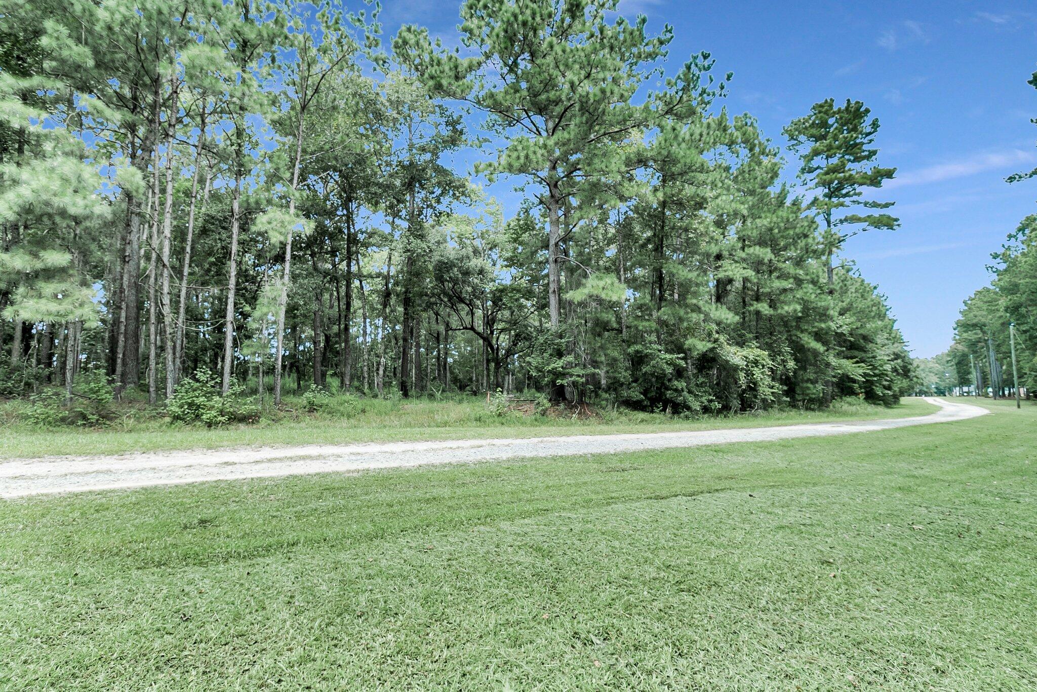 6215 Beaver Dam Road Adams Run, SC 29426 - Photo 17 of 18 CREM - 6215 Beaver Dm Rd-17