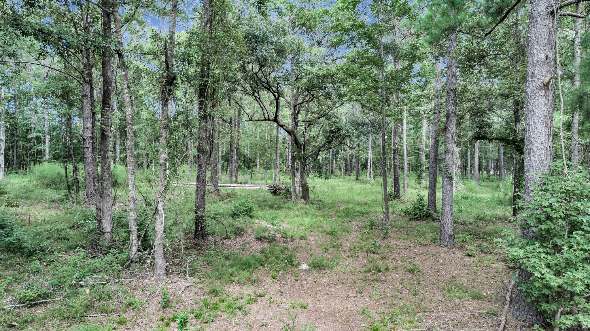 6215 Beaver Dam Road Adams Run, SC 29426 - Photo 3 of 18 CREM - 6215 Beaver Dm Rd-1