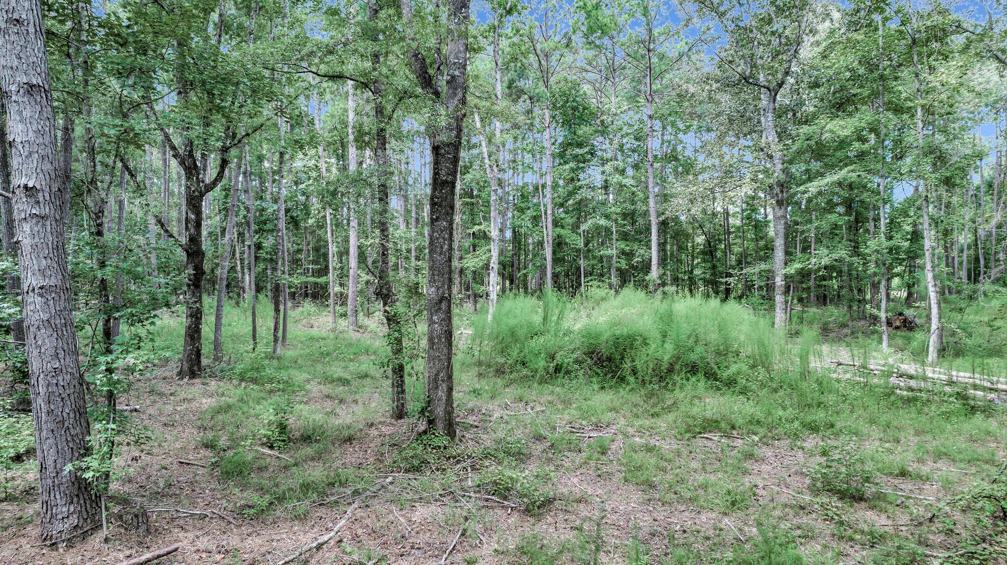 6215 Beaver Dam Road Adams Run, SC 29426 - Photo 4 of 18 CREM - 6215 Beaver Dm Rd-3