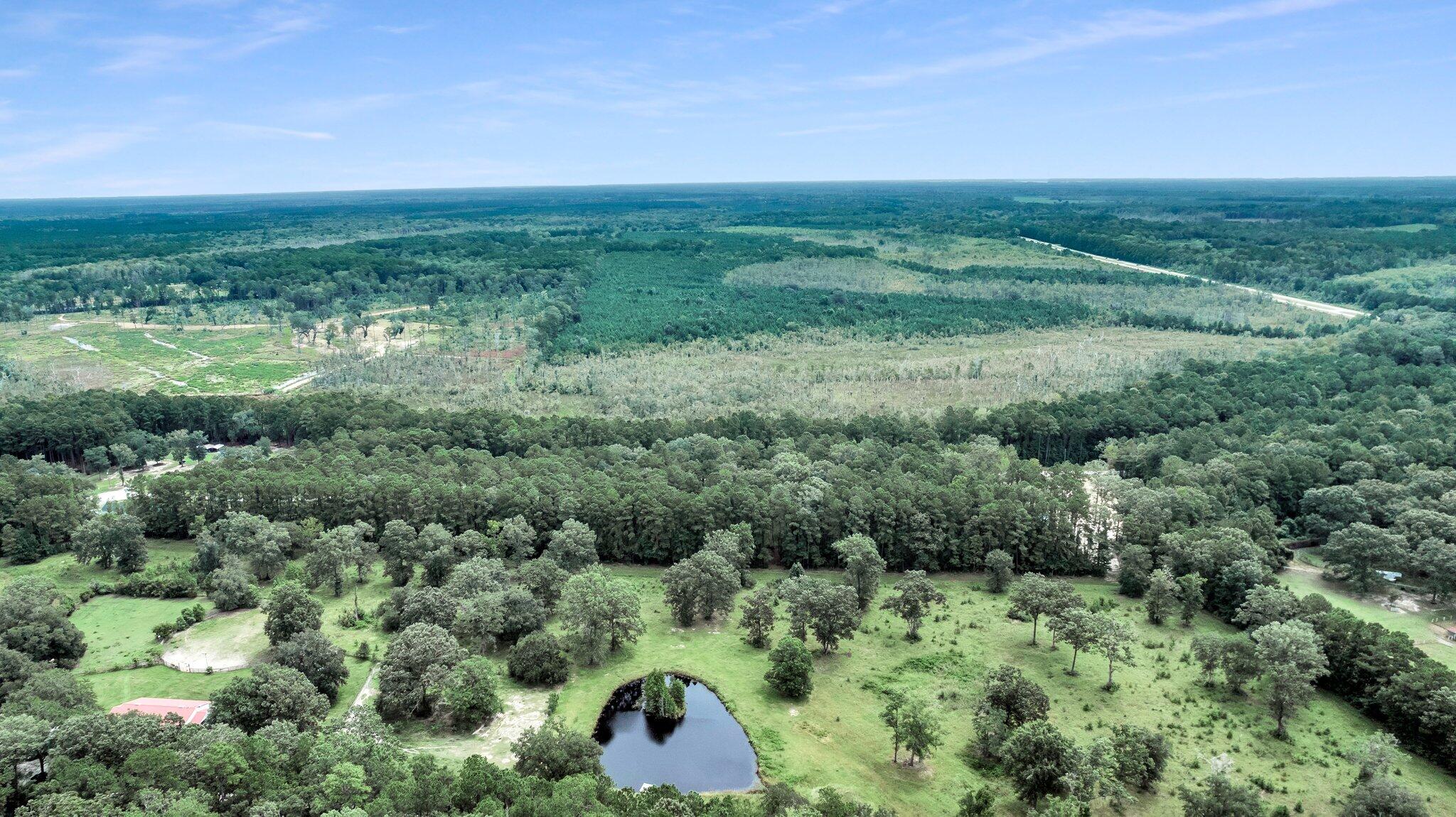 6215 Beaver Dam Road Adams Run, SC 29426 - Photo 10 of 18 CREM - 6215 Beaver Dm Rd-9