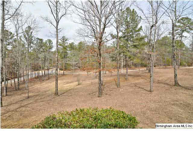 1424 Camp Branch Road Alabaster, AL 35007 - Photo 4 of 30
