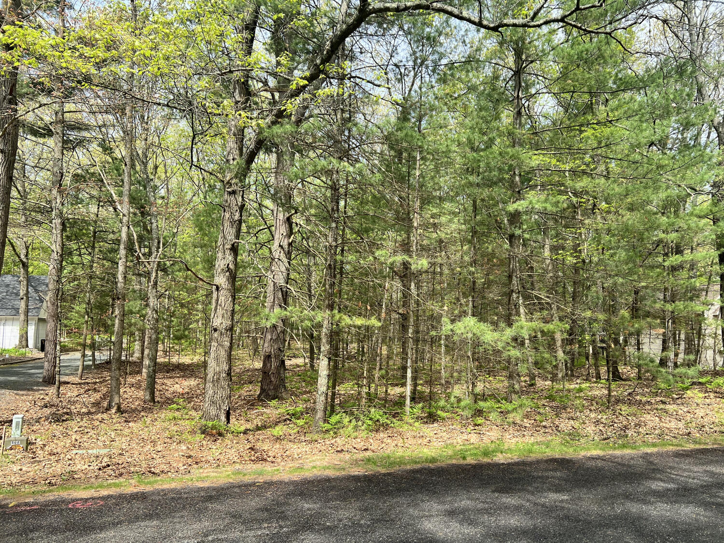 Lot 95 Iroquois Road Pentwater, MI 49449 - Photo 3 of 11 IMG_8263