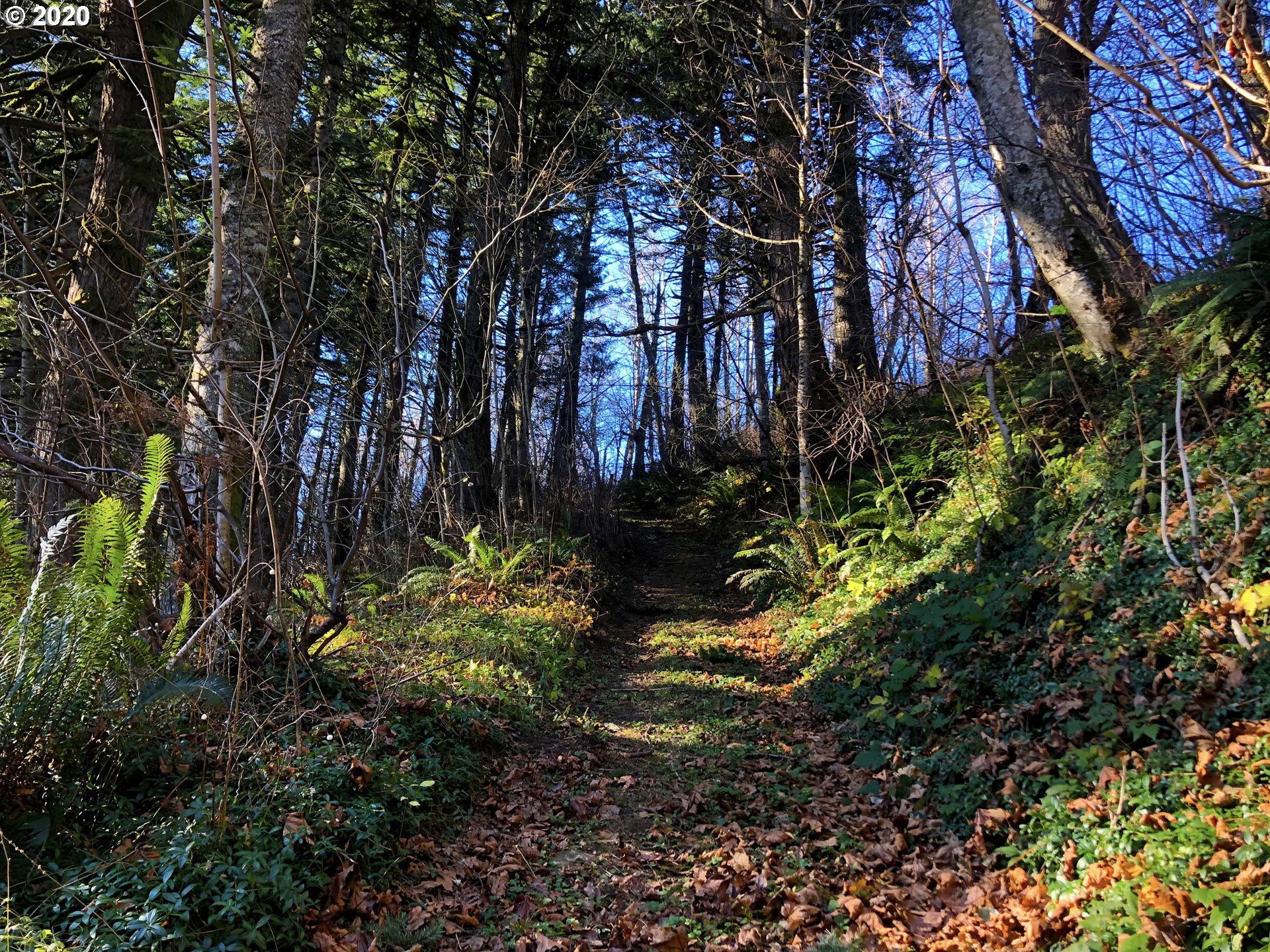39149 East Knieriem Road Corbett, OR 97019 - Photo 12 of 22