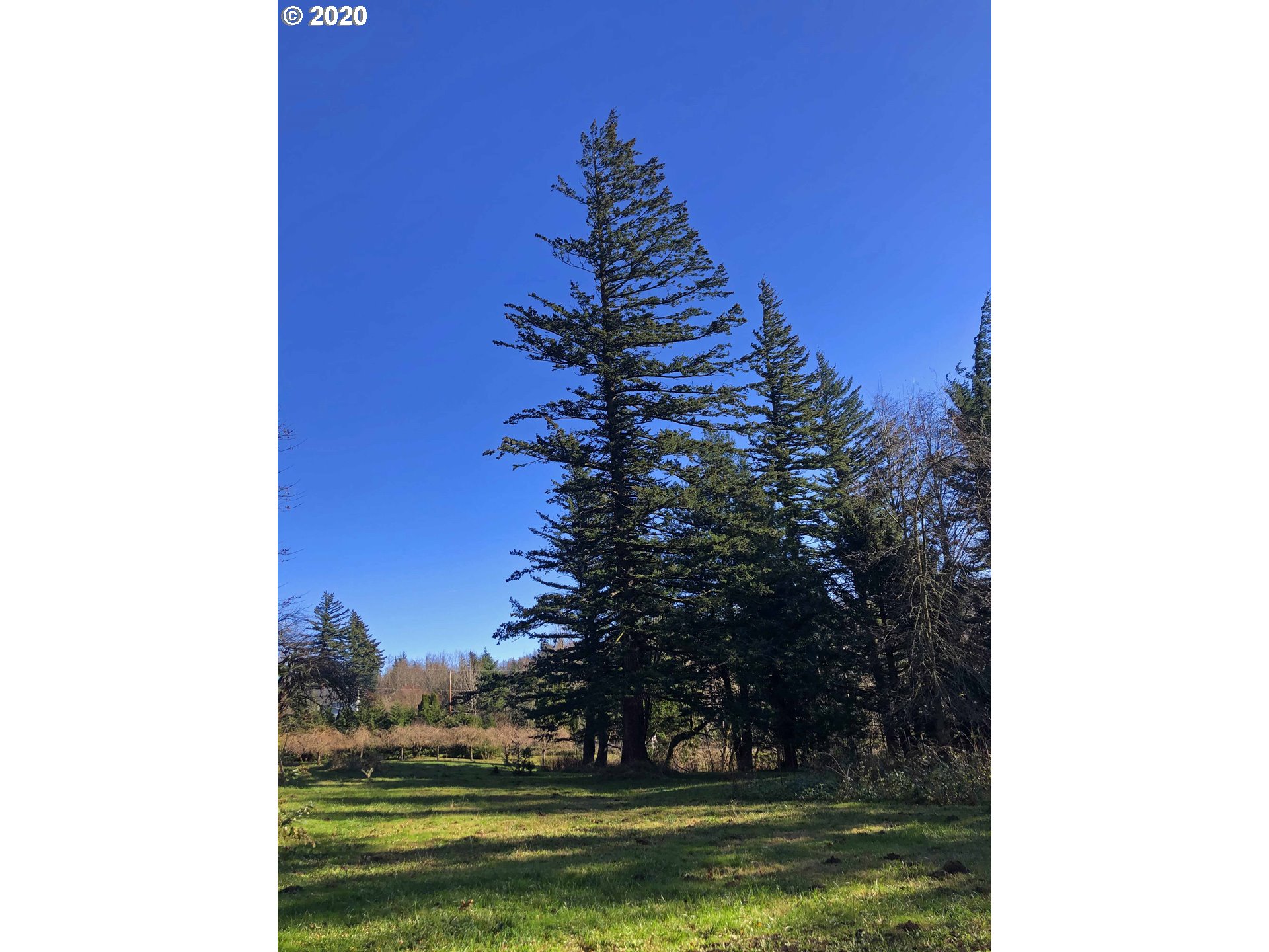 39149 East Knieriem Road Corbett, OR 97019 - Photo 16 of 22