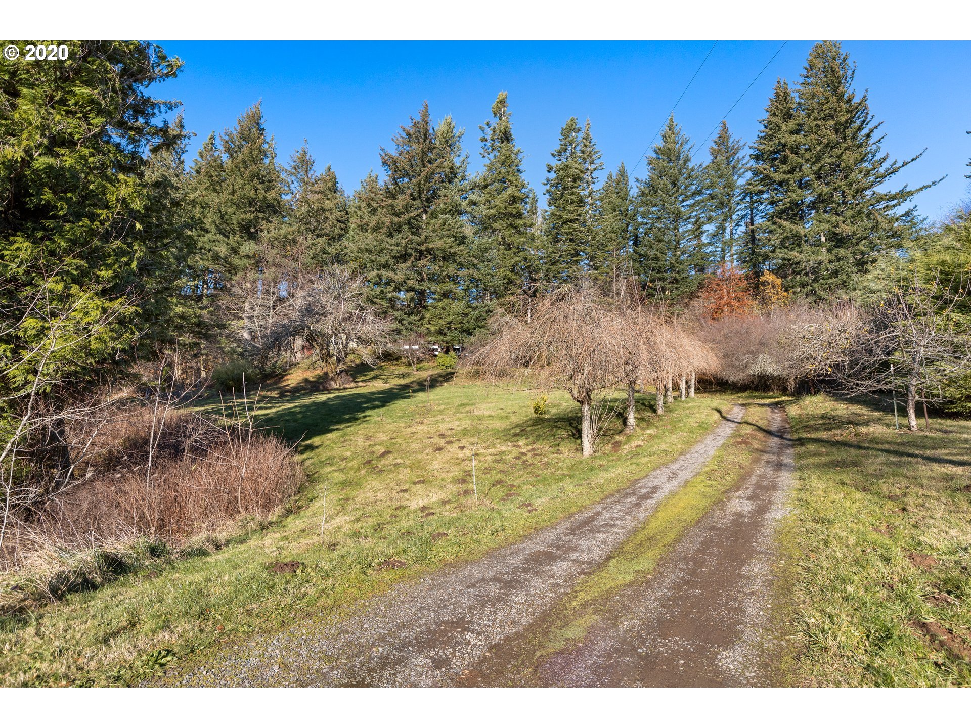 39149 East Knieriem Road Corbett, OR 97019 - Photo 17 of 22