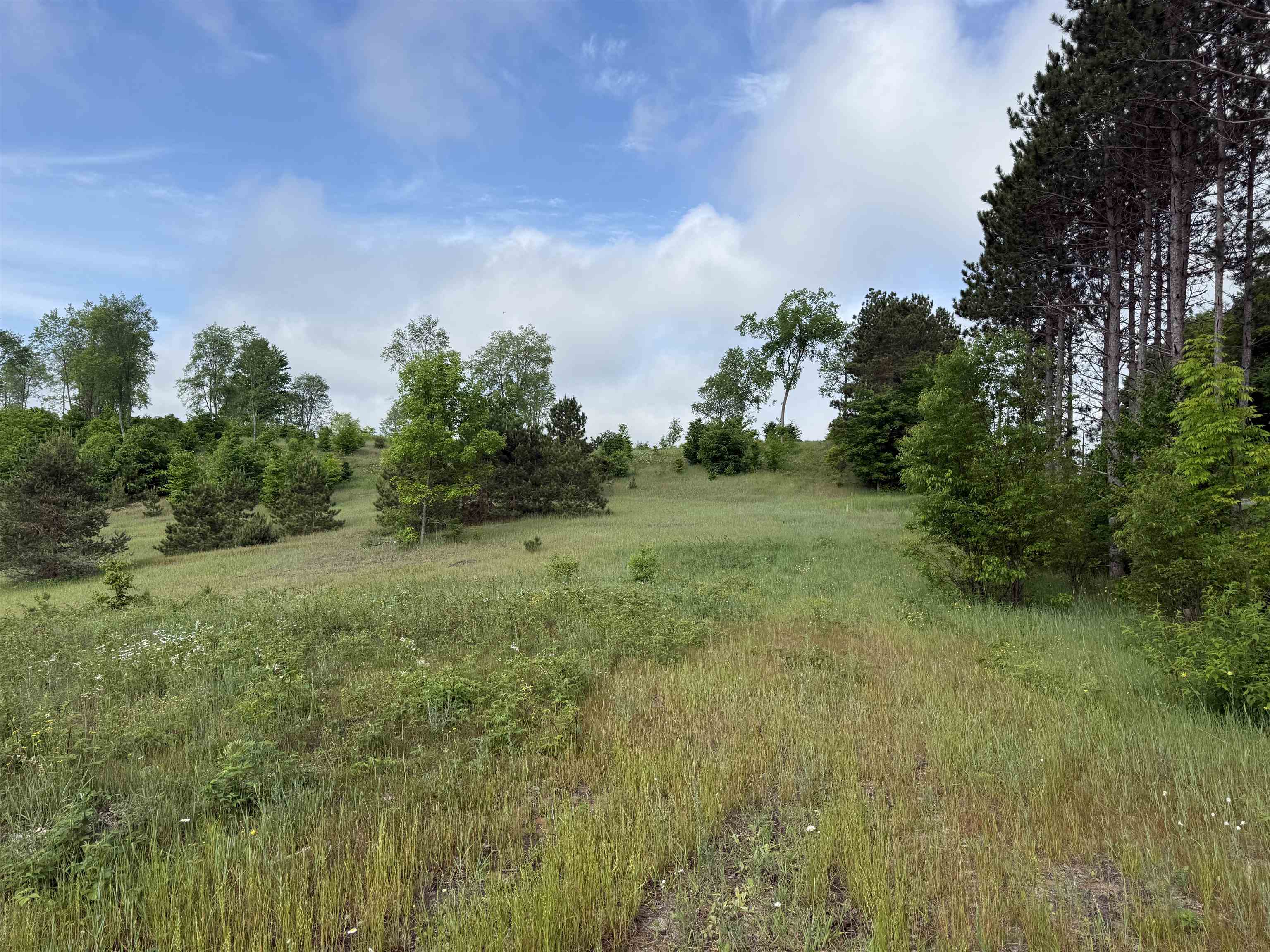 A4 East Kasson Road Traverse City, MI 49684 - Photo 5 of 12