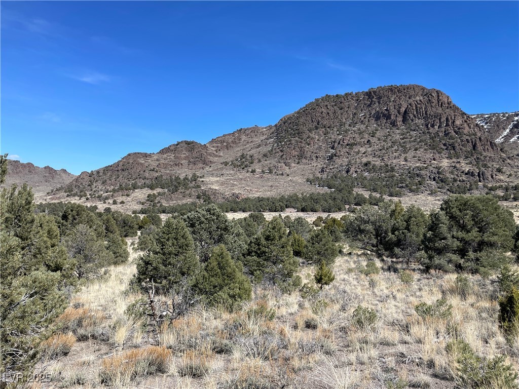 P-16 Butte Valley Ely, NV 89301 - Photo 2 of 4